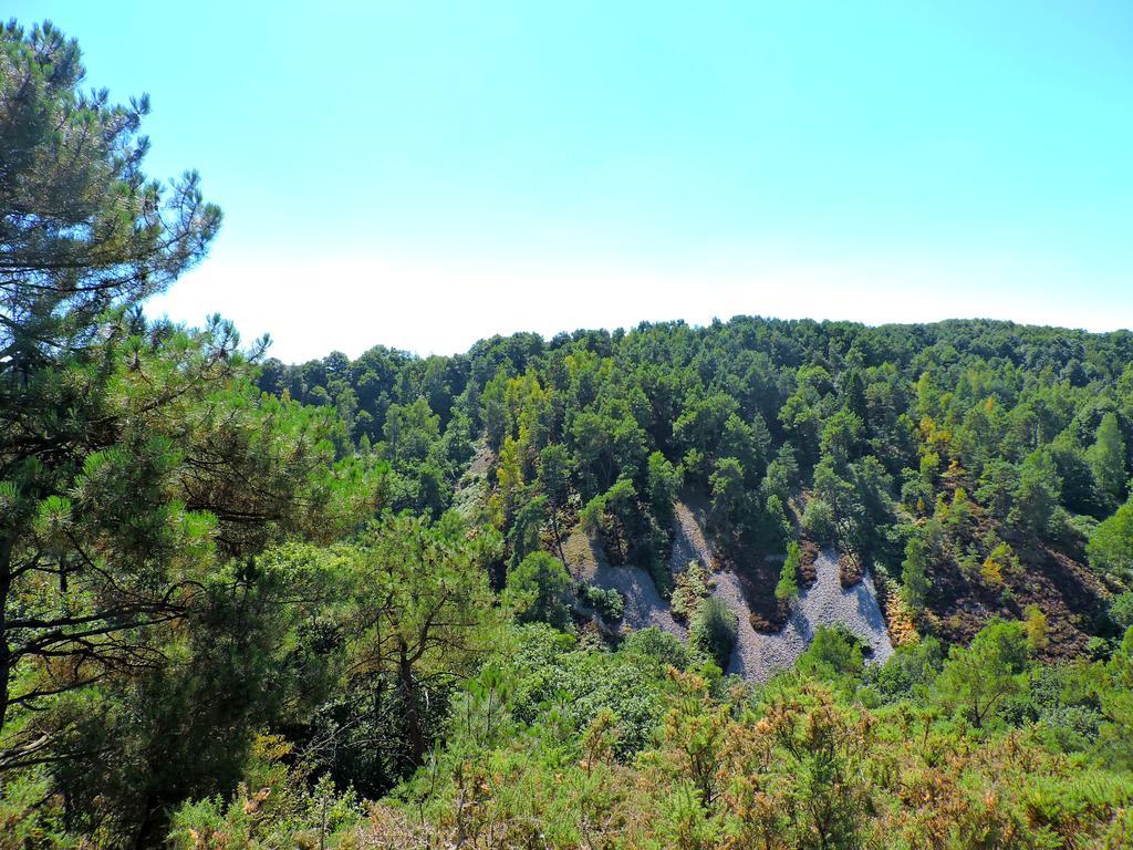 Gite Le Bourgneuf Fresnay-sur-Sarthe Eksteriør bilde