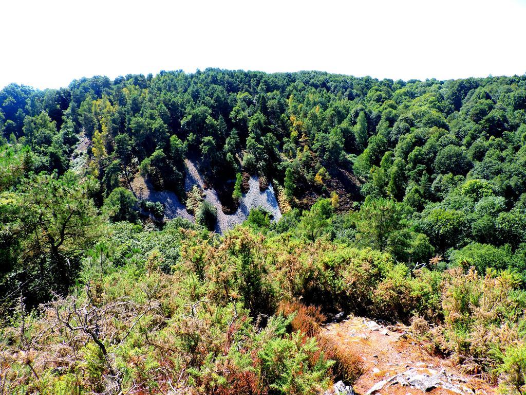 Gite Le Bourgneuf Fresnay-sur-Sarthe Eksteriør bilde